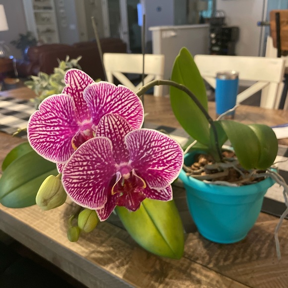 Meet the Posher, Deb - Picture 10 of 14